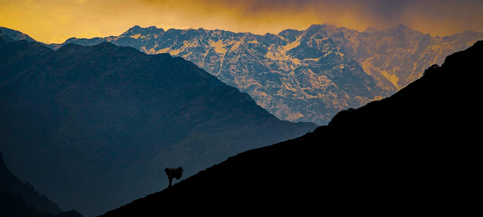 Chopta Chandrashila Tungnath Trek with Deoriatal